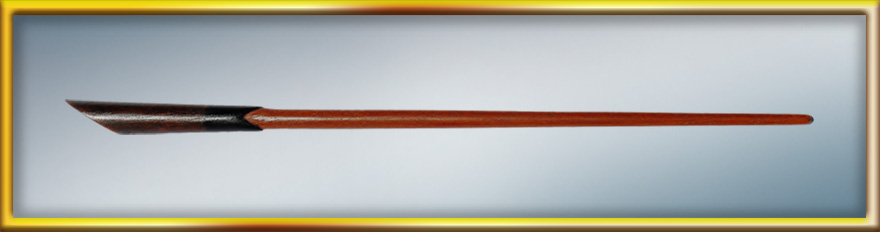the newt magic wand