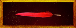 phoenix feather core